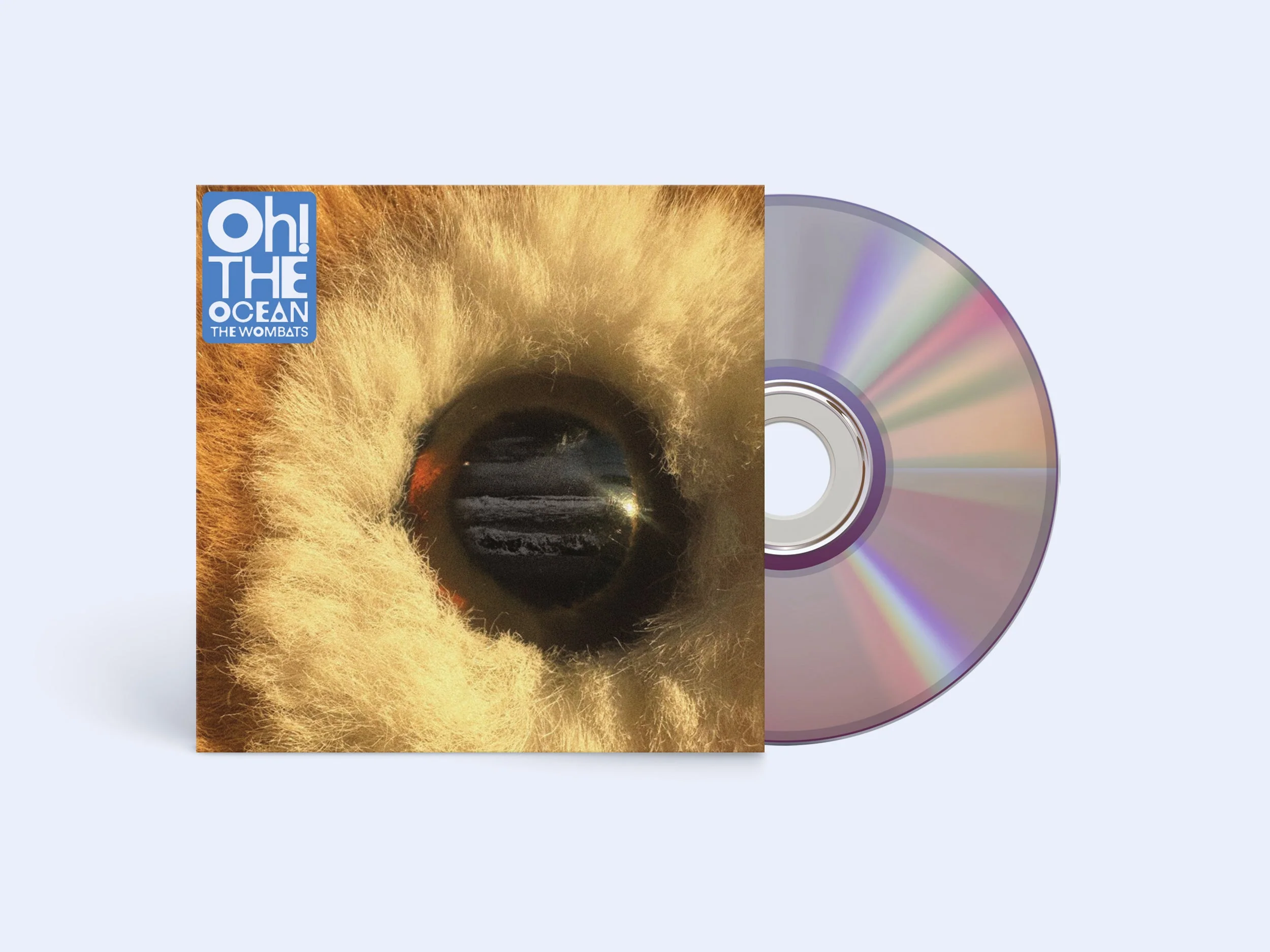 Oh! The Ocean - Image 2