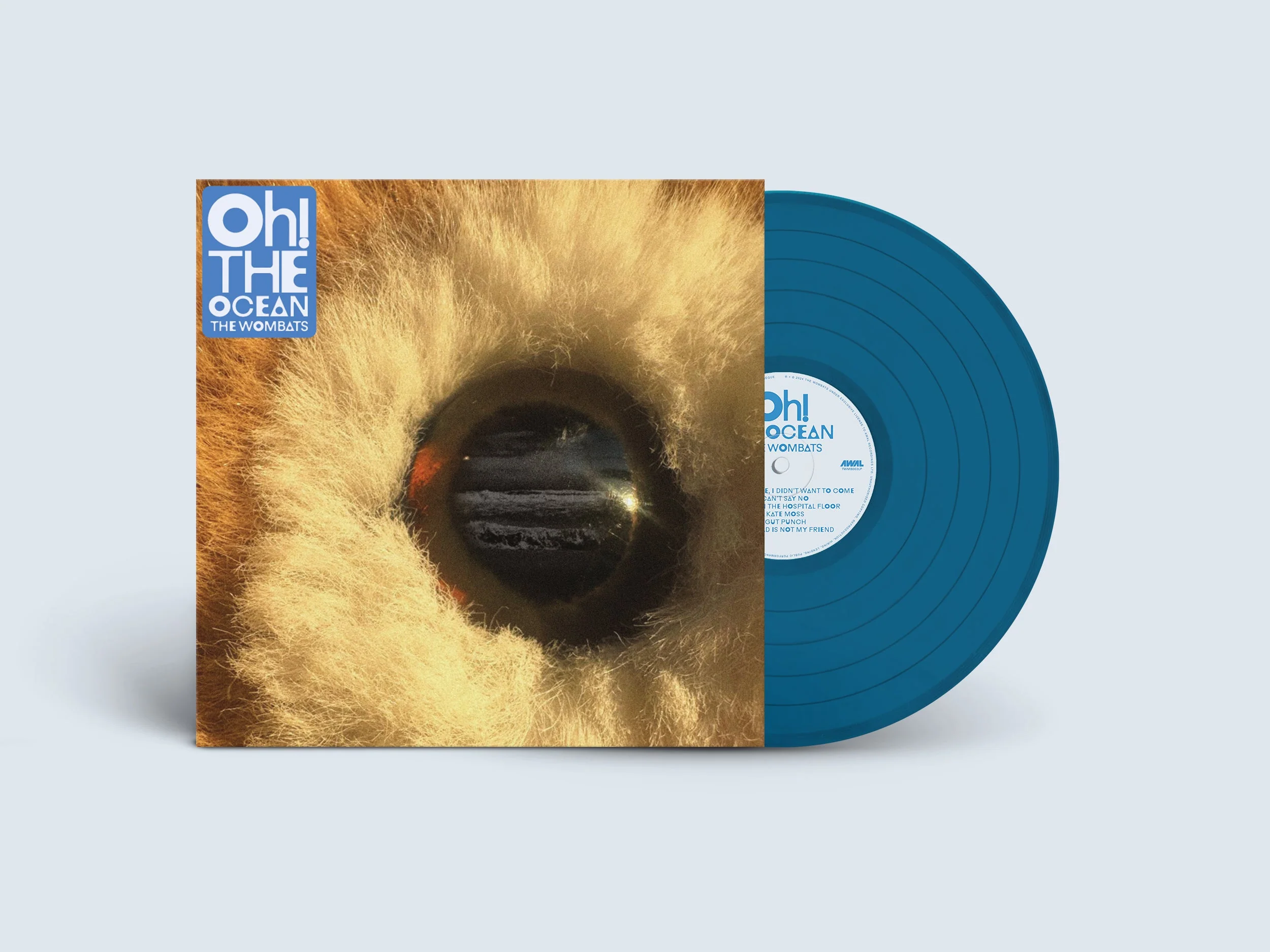 Oh! The Ocean - Image 3