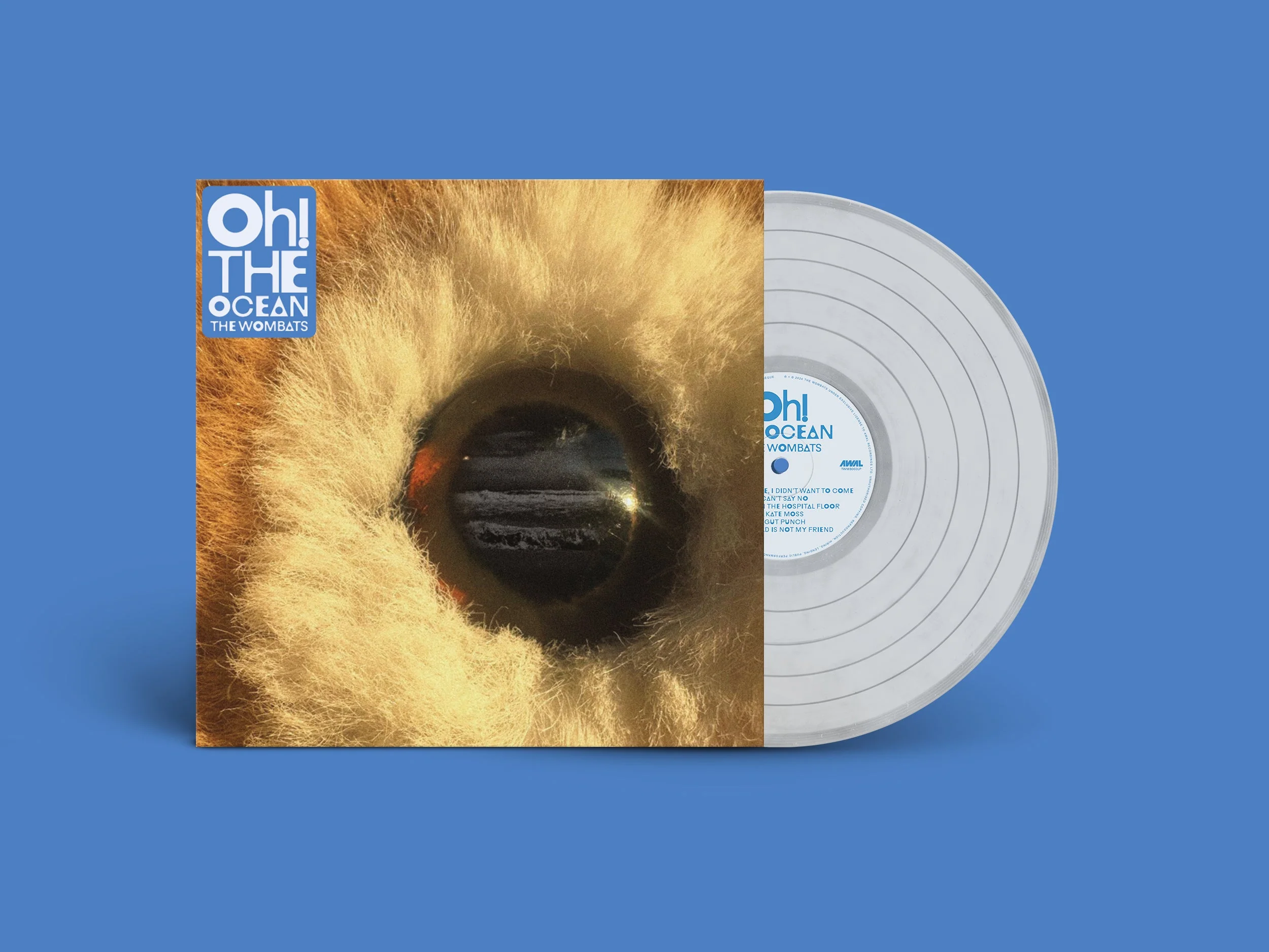 Oh! The Ocean - Image 4