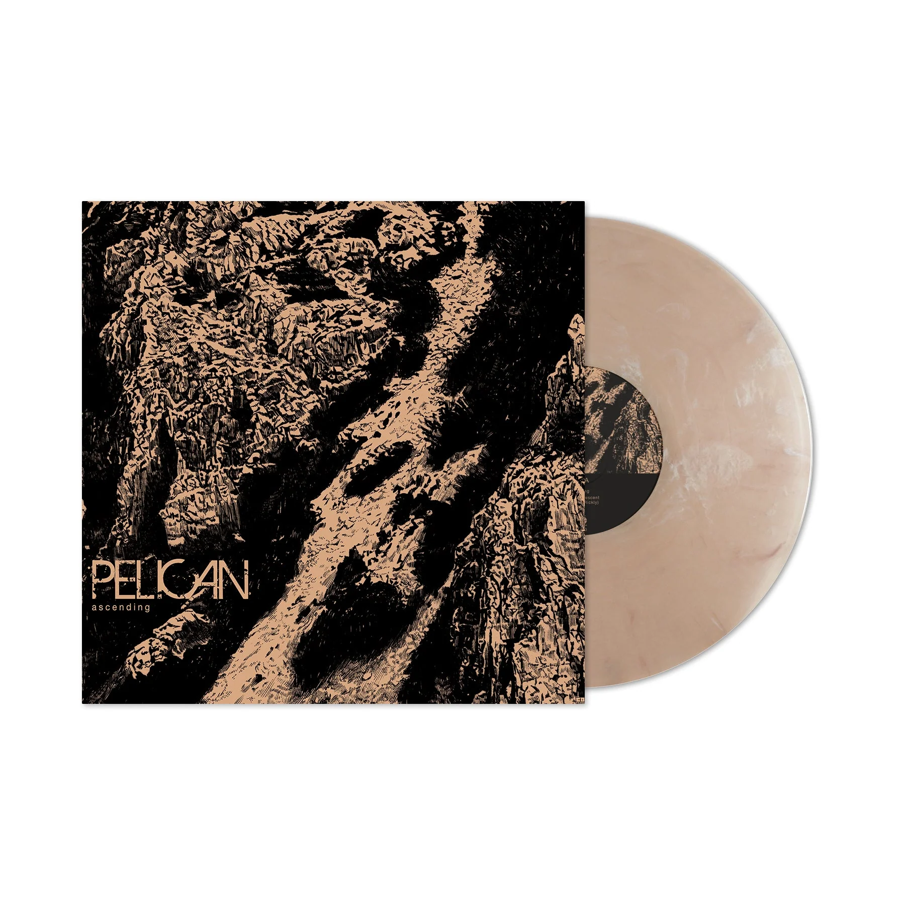Pelican - Ascending - Image 2