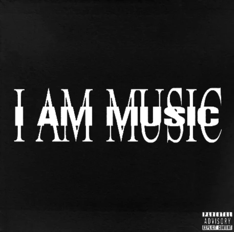 Playboi Carti - Music