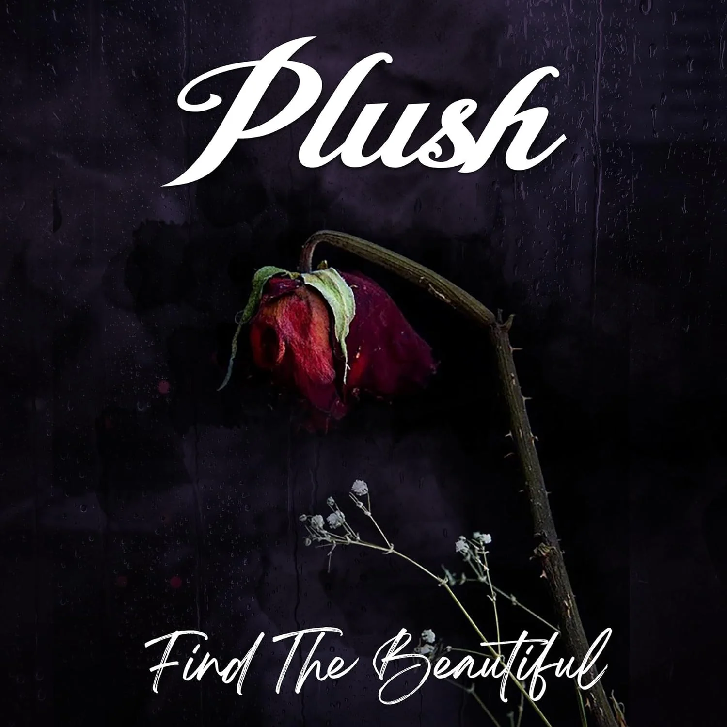 Plush - Find The Beautiful