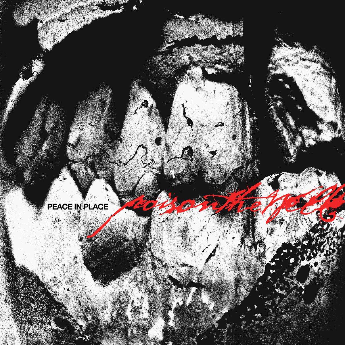 Poison The Well - Peace In Place
