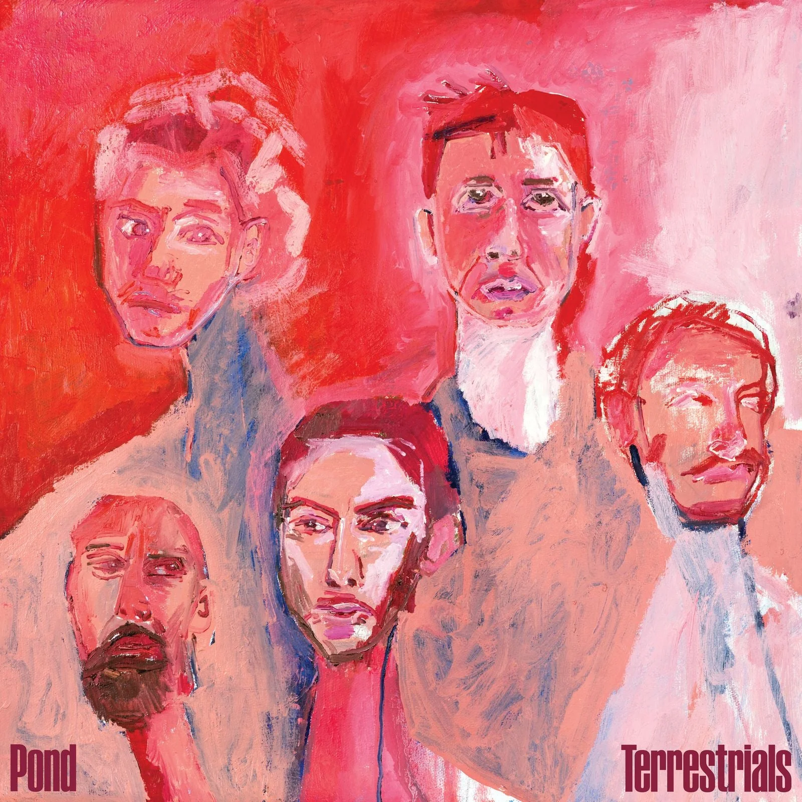 Pond - Terrestrials - Image 3