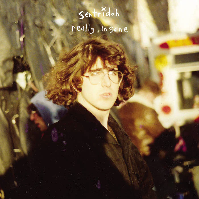 Really Insane - A Lou Barlow Compendium