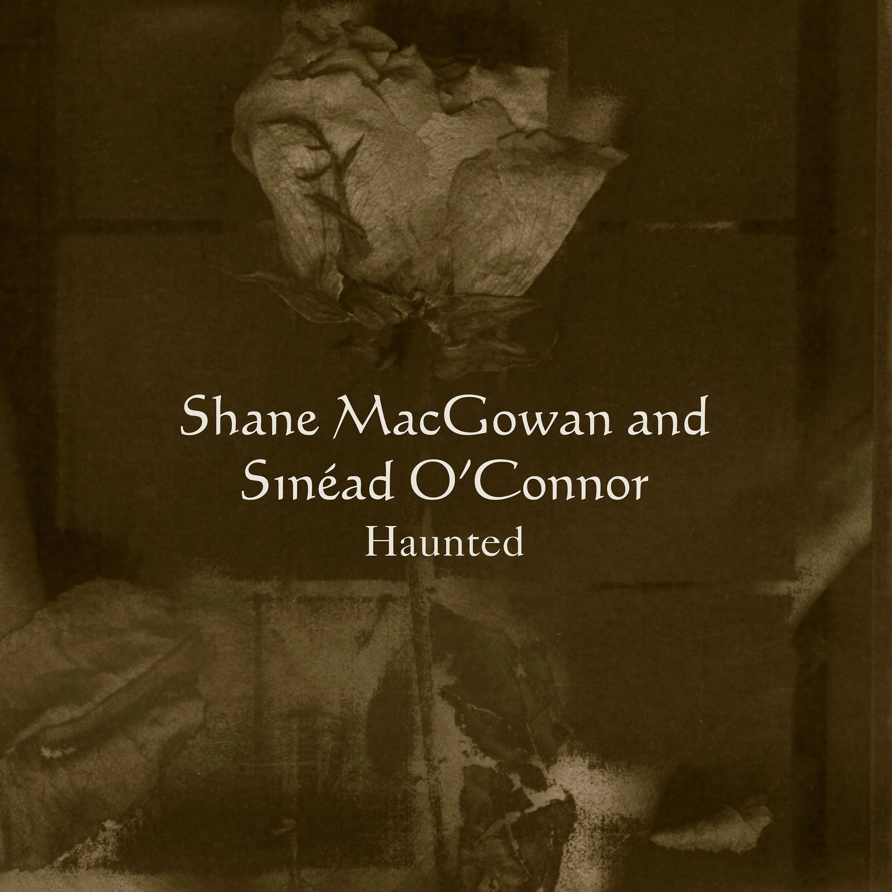 Shane MacGowan & Sinead O'Connor - Haunted (30th Anniversary) - 12" Ultra Clear Vinyl  [RSD 2025] - Image 2