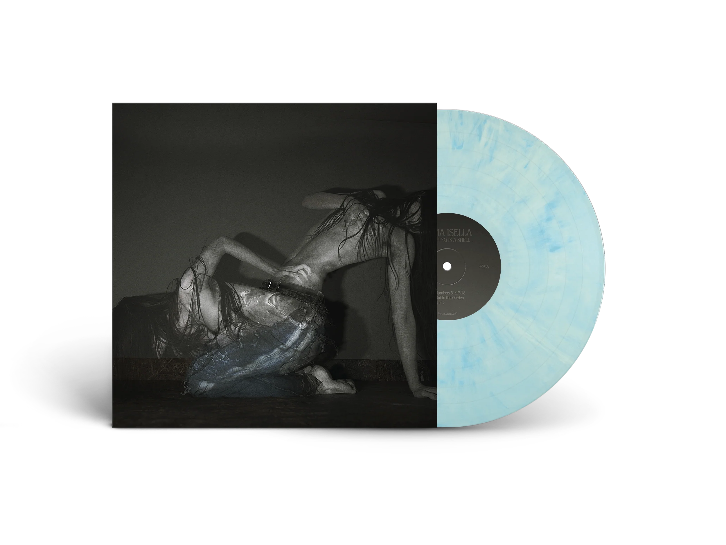 Sofia Isella - Something Is A Shell - Image 2