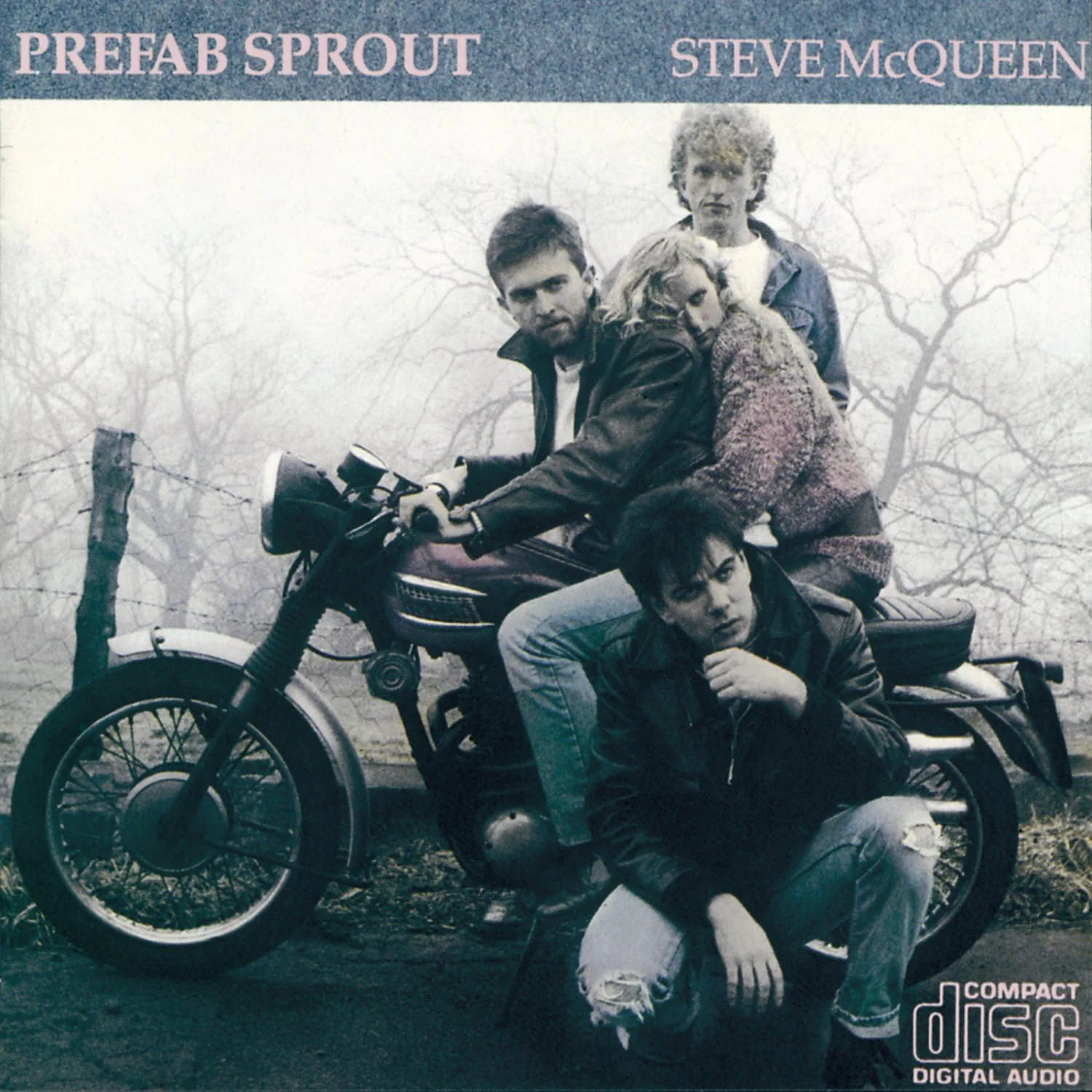 Steve McQueen - Image 2