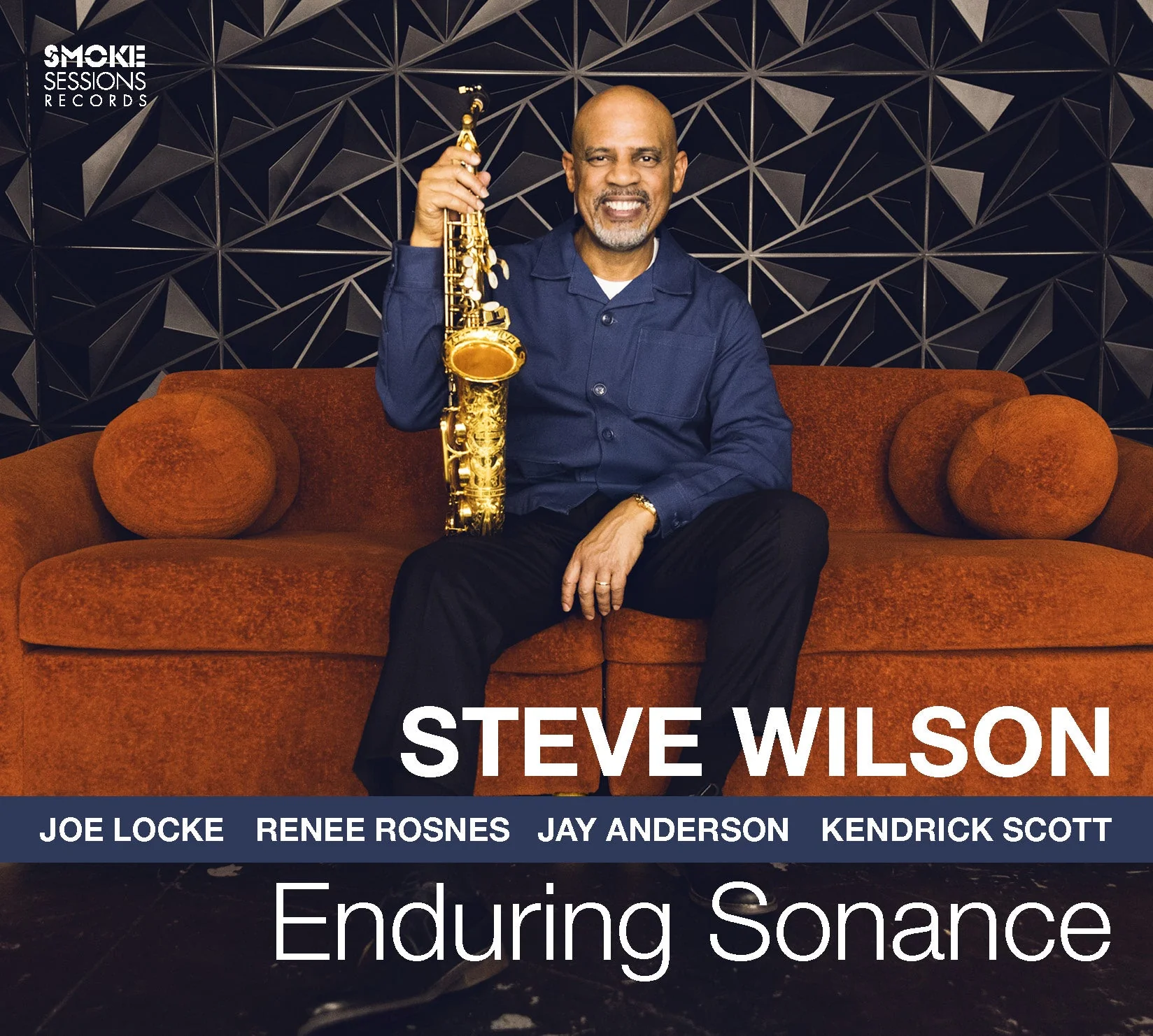 Steve Wilson - Enduring Sonance
