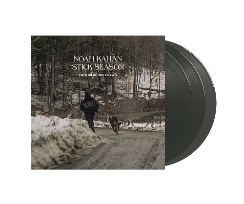Stick Season: We’ll All Be Here Forever - Image 3