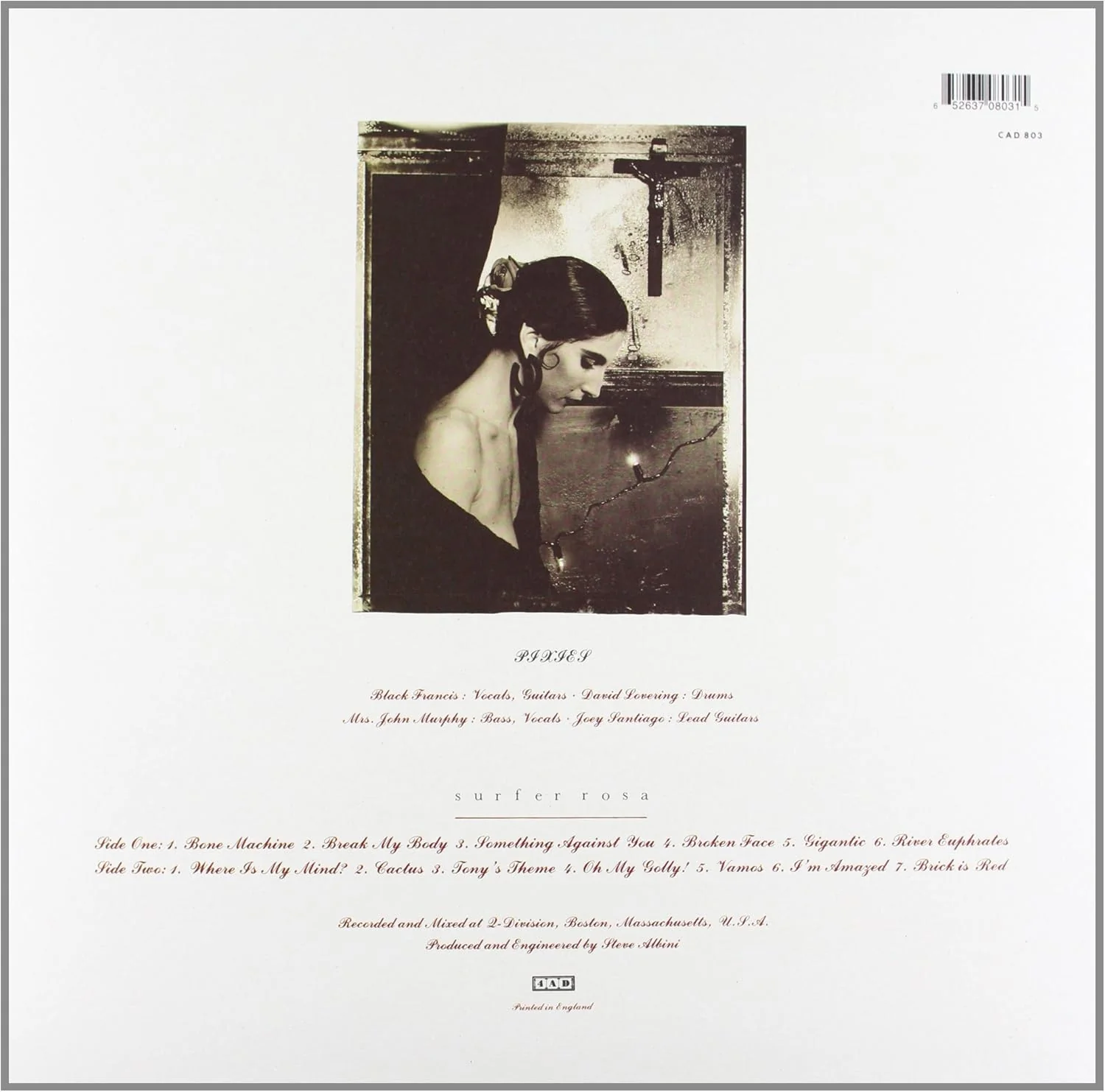 Surfer Rosa - Image 2