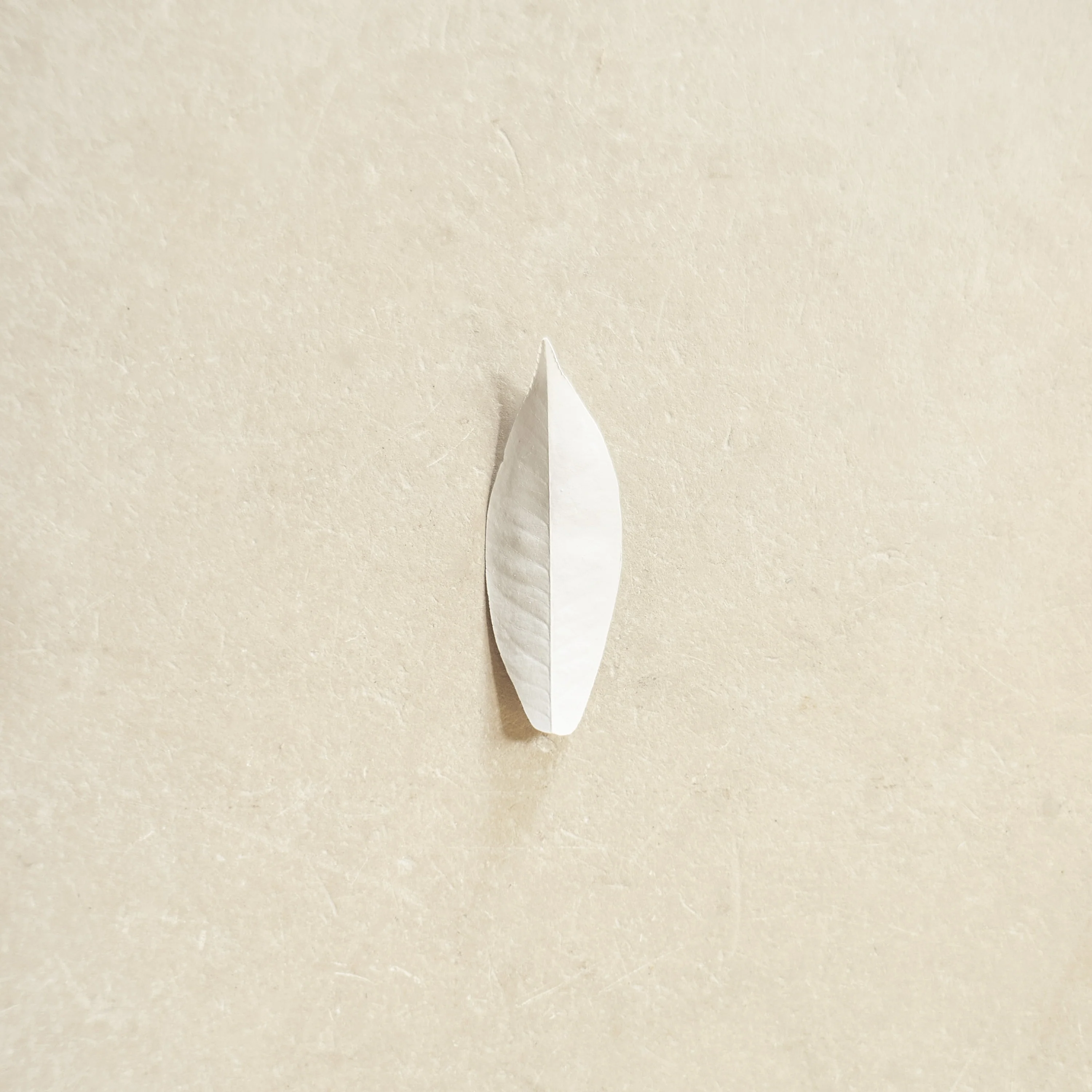 Sylvain Chauveau - The Complexity Of The Simple
