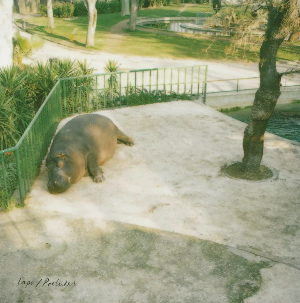 TAPE - Preludes