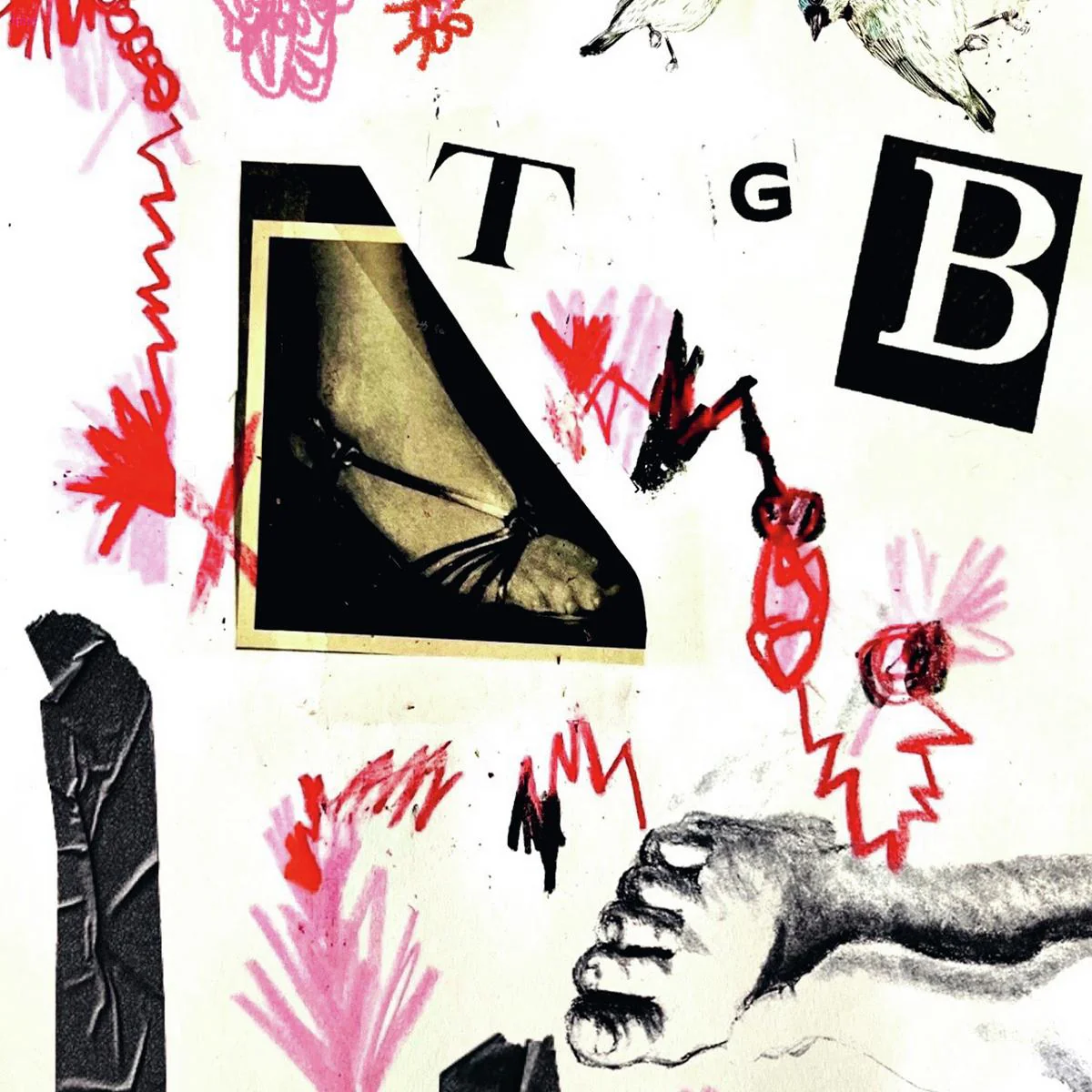Teri Gender Bender - TGB