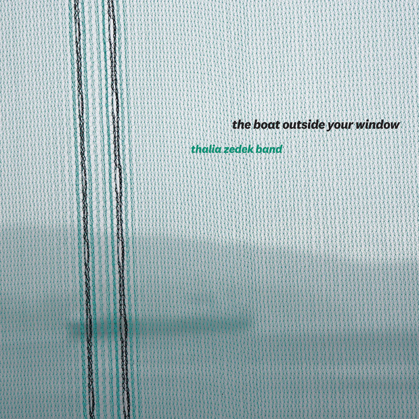 Thalia Zedek Band - The Boat Outside Your Window