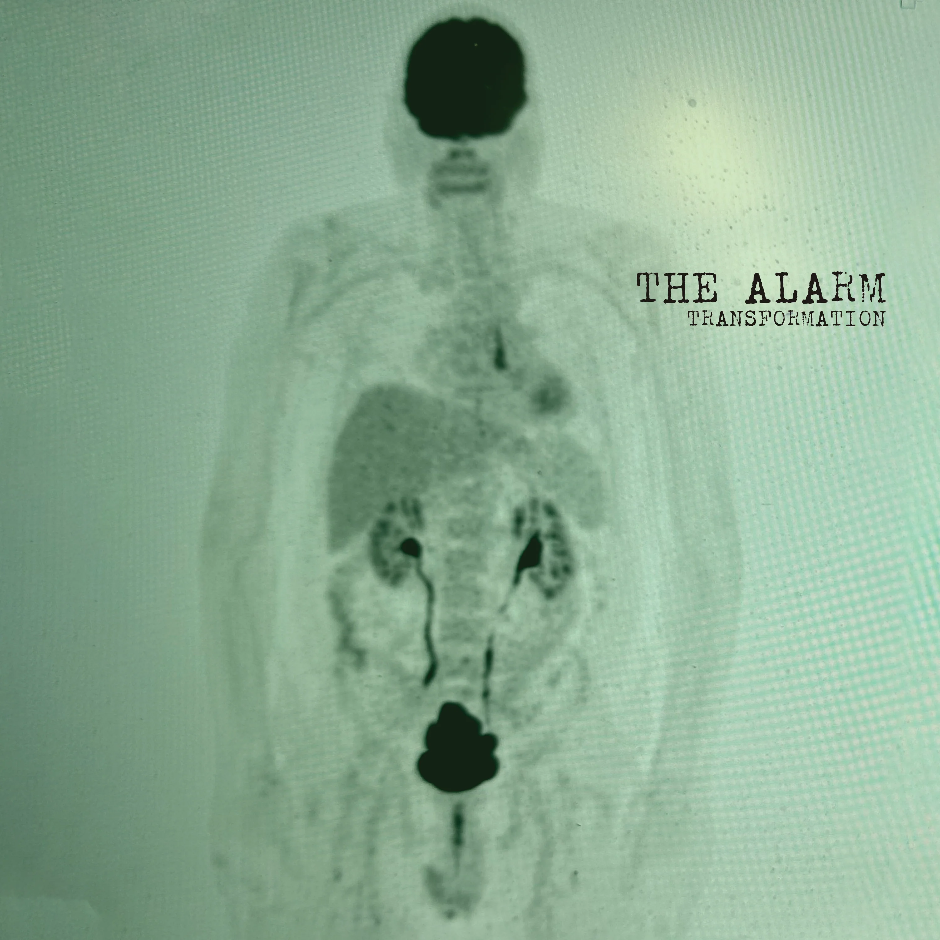 The Alarm - Transformation