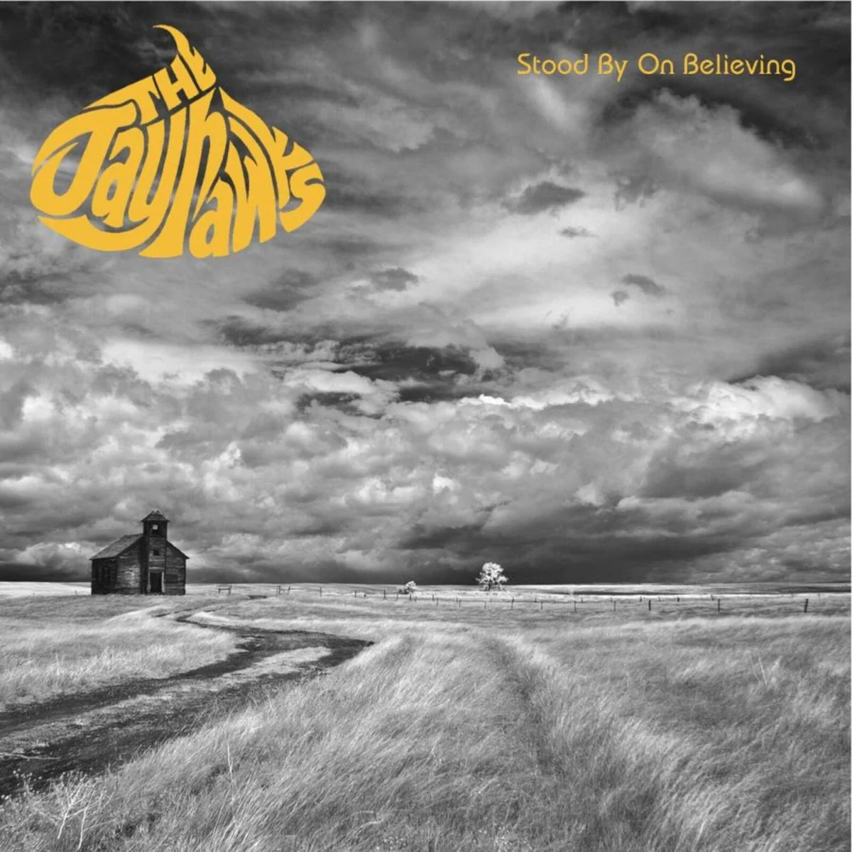 The Jayhawks - Stood By On Believing - The Classic Broadcasts 89-95