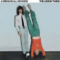 THE LEMON TWIGS - A DREAM IS ALL WE KNOW - Image 2