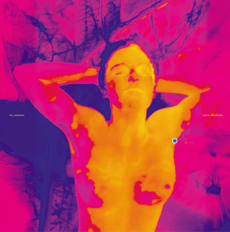 THE LIMINANAS - Live At Beaubourg