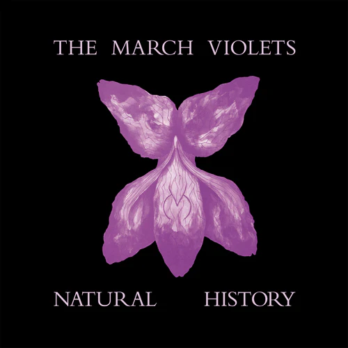 The March Violets - Natural History - 1LP - Violet Vinyl  [RSD 2026] - Image 2