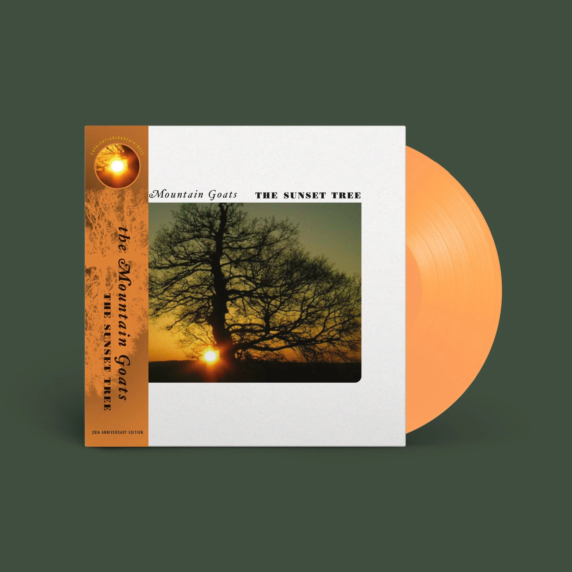 The Mountain Goats - The Sunset Tree (20th Anniversary Remaster) - Image 2