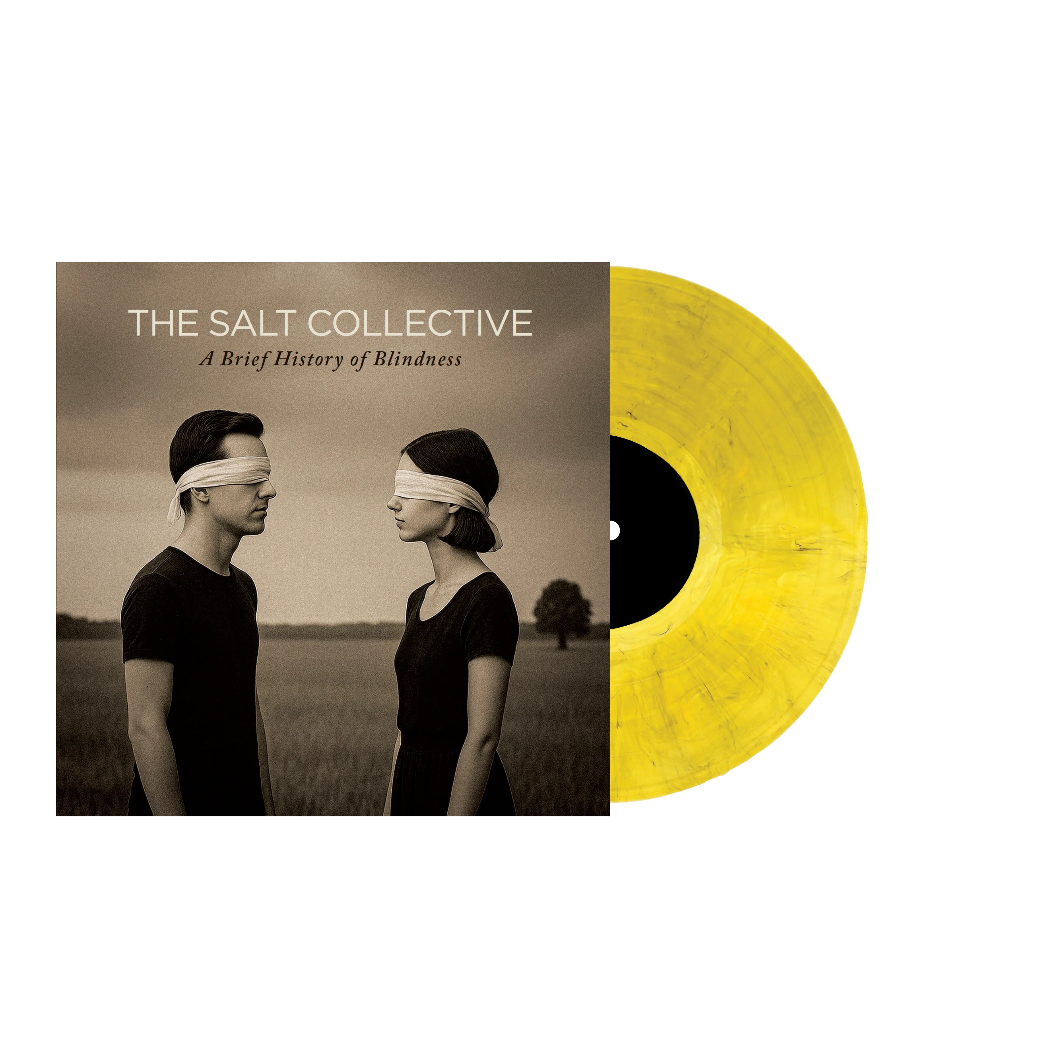 The Salt Collective - A Brief History of Blindness - Image 2