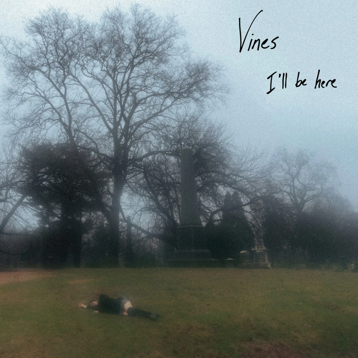 Vines - I'll Be Here