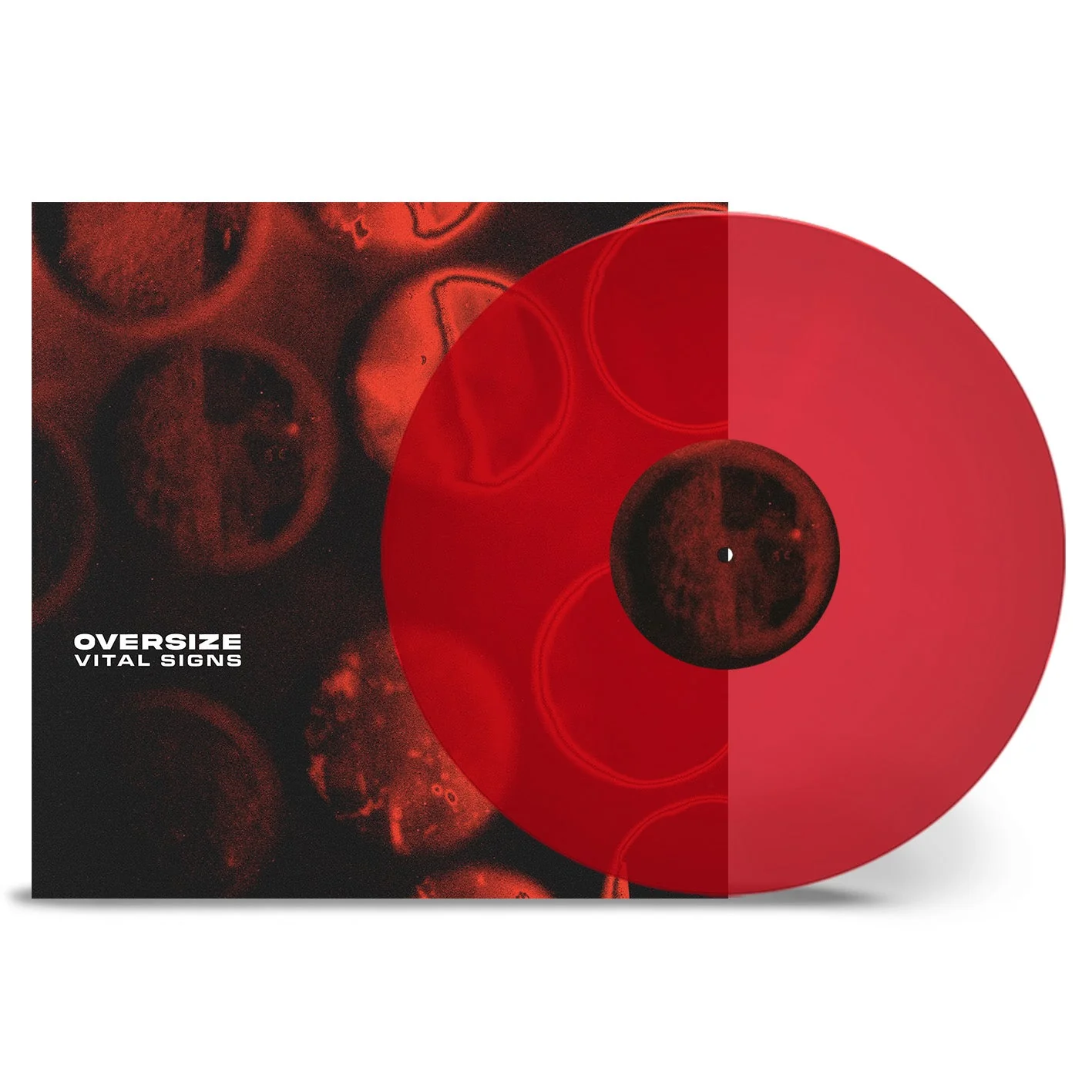 Vital Signs - Image 2