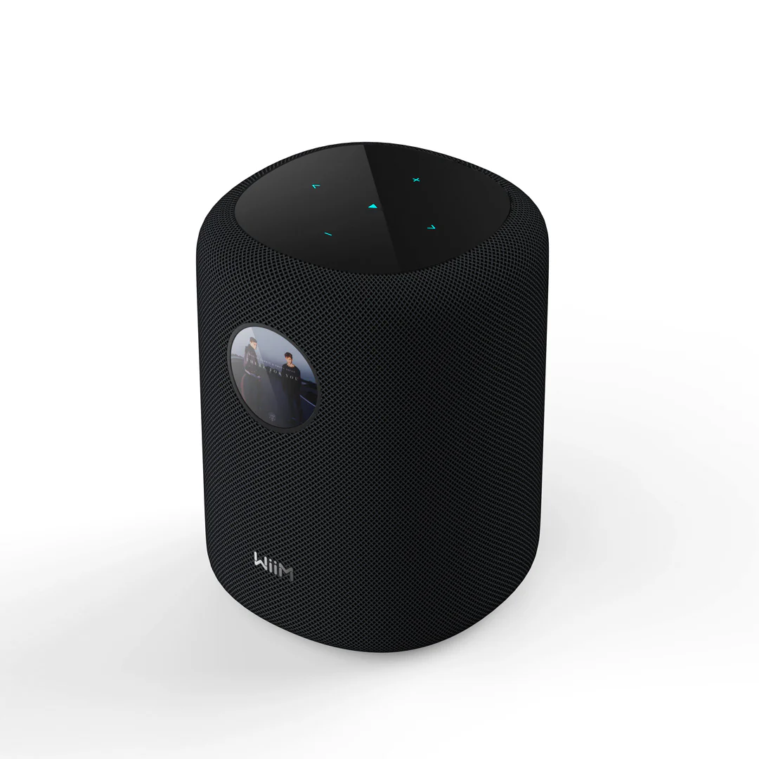 WiiM - Sound - Image 2