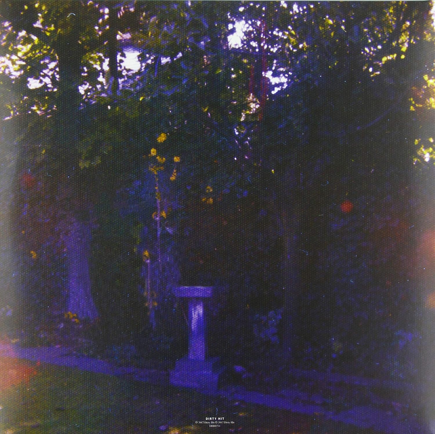 Wolf Alice - Visions Of A Life - Image 2