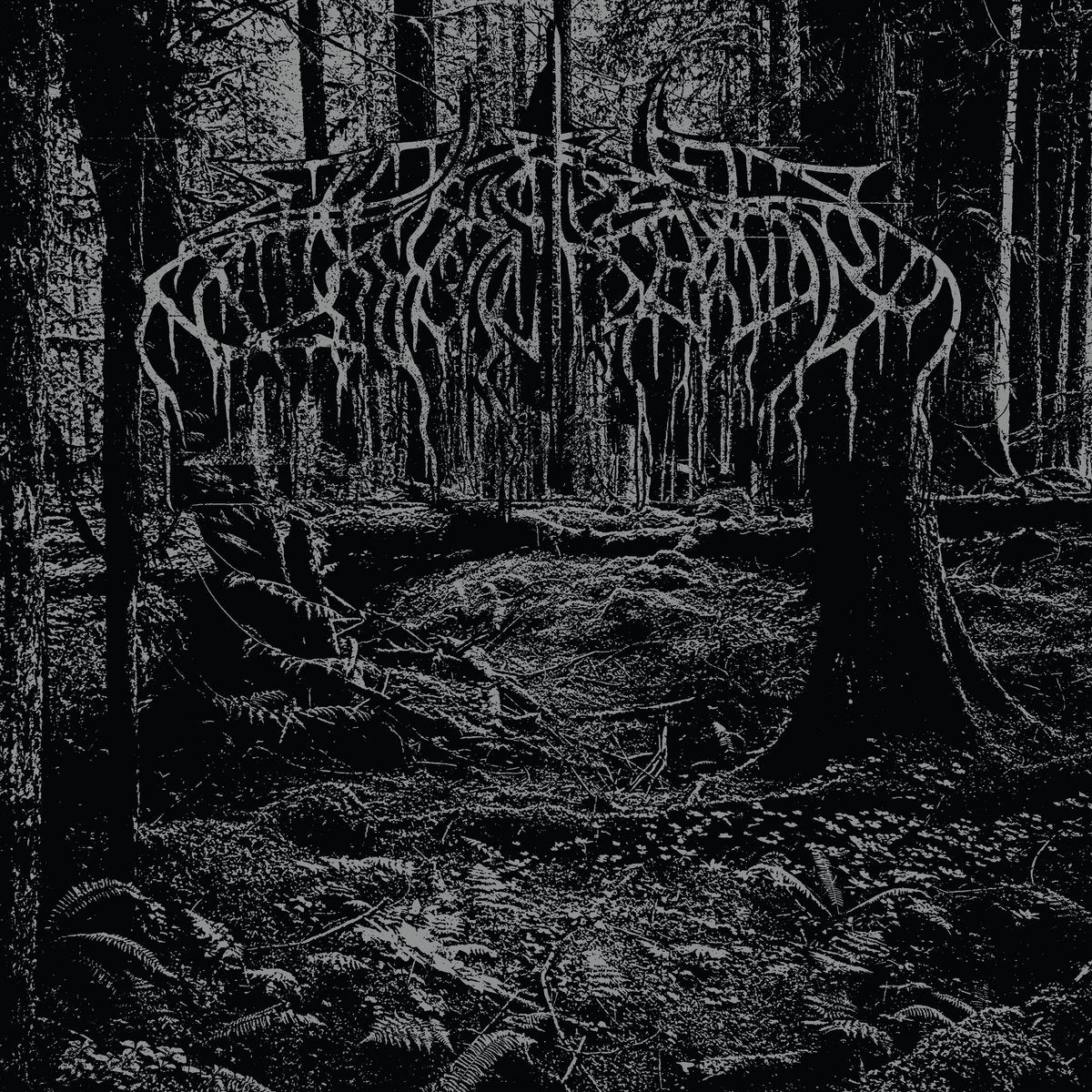 Wolves in the Throne Room - 2005 Demo